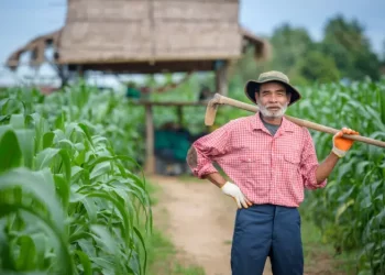 TRF4 define que INSS deve conceder aposentadoria rural para segurado que alugava um imóvel urbano